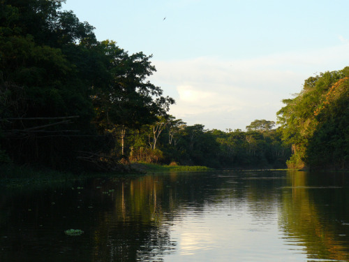  /></p>
<p>En las imágenes, fotografía de la Comisión Científica del Pacífico (1862-1866), cuyo ambiente fue uno de los ingredientes para la historia y una vista de la Amazonía durante nuestro viaje.</p>
</div>


		<div class=